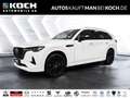 Mazda CX-80 2.5L e-SKY PHEV327ps 8AT AWD Homura Plus LED Weiß - thumbnail 1