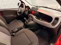 Fiat Panda Panda Cross 1.2i //CLIM//GARANTIE Rouge - thumbnail 4