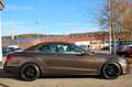 Mercedes-Benz E 220 E220 Cab. Avantgarde # Leder # AirScarf # Faceli Brun - thumbnail 12