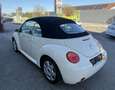 Volkswagen Beetle Cabriolet 1,4 Leder Weiß - thumbnail 6