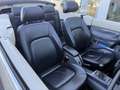 Volkswagen Beetle Cabriolet 1,4 Leder Weiß - thumbnail 18