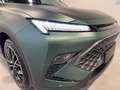 Tiger Sonstige 1.5T DI 7DCT GPL GREEN ELEGANT PACK Grün - thumbnail 19