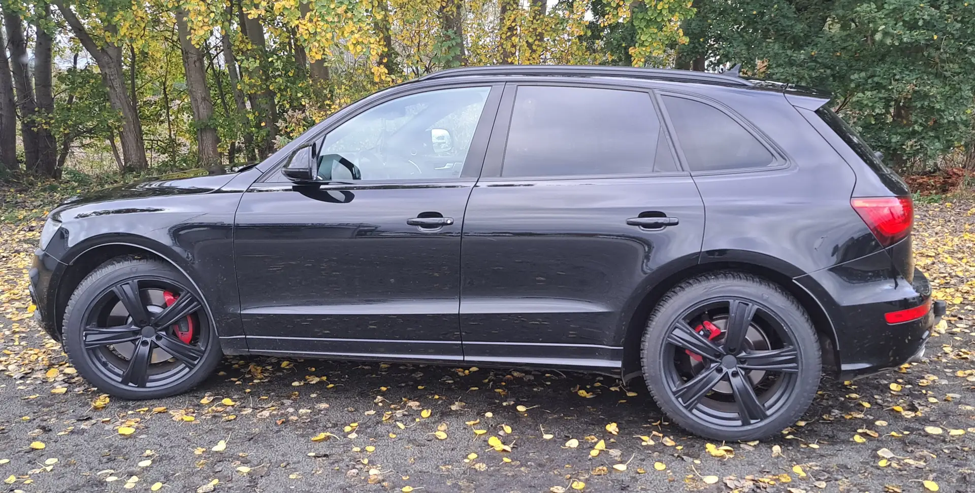 Audi SQ5 SQ5 3.0 TDI quattro tiptronic competition Schwarz - 1