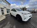 Toyota RAV 4 197 HYBRIDE DYNAMIC EDITION 2WD CVT Blanc - thumbnail 4