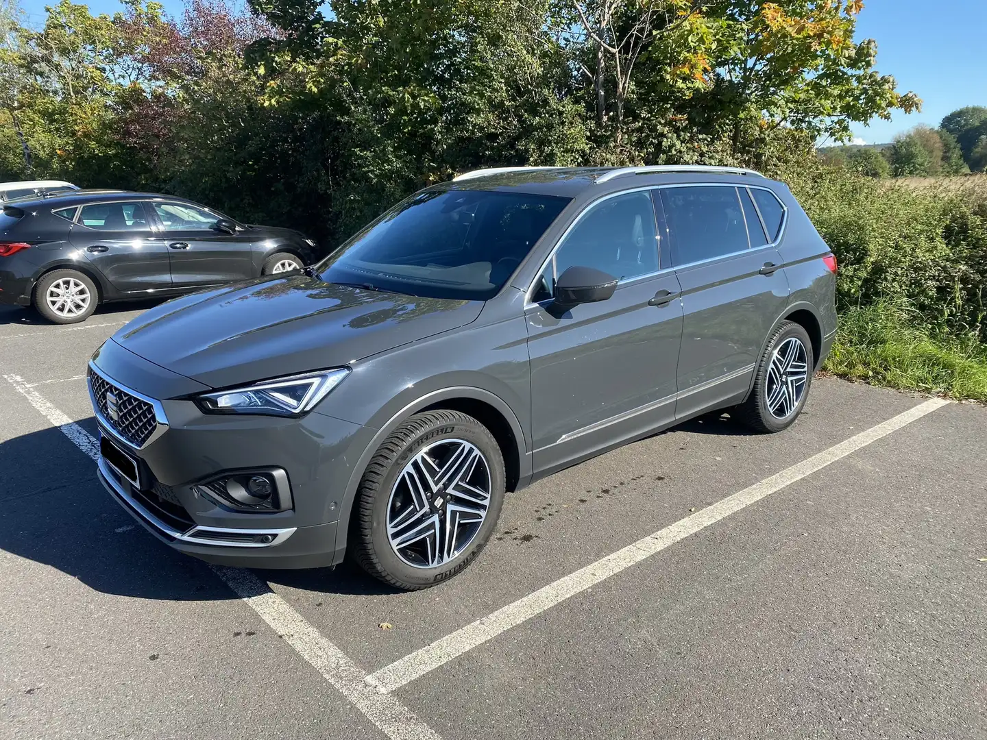 SEAT Tarraco Xcellence Grau - 1