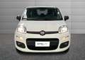 Fiat New Panda 1.2  Easy Bianco - thumbnail 3