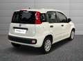 Fiat New Panda 1.2  Easy Bianco - thumbnail 2