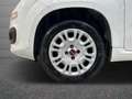 Fiat New Panda 1.2  Easy Bianco - thumbnail 16