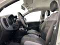 Fiat New Panda 1.2  Easy Bianco - thumbnail 9