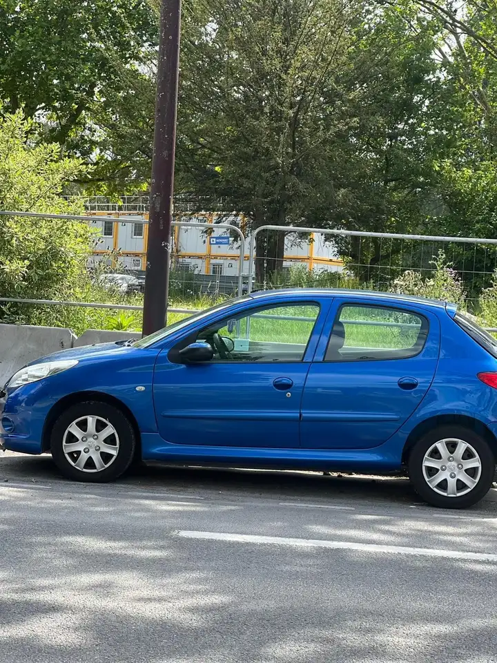 Peugeot 206 110 Platinum