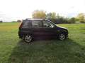 Suzuki Ignis 1,4 X-45 *VVT *4x4 *SHZ+*Klima*Allwetterreifen Schwarz - thumbnail 5