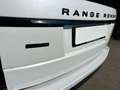 Land Rover Range Rover 4.4 SDV8 Autobiography Auto. Blanc - thumbnail 14