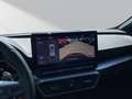 CUPRA Formentor 2.0 VZ 4Drive*Navi*Pano*Leder*AHK*LED* Weiß - thumbnail 13