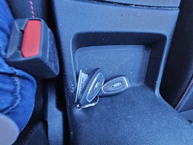Ford Focus view 16