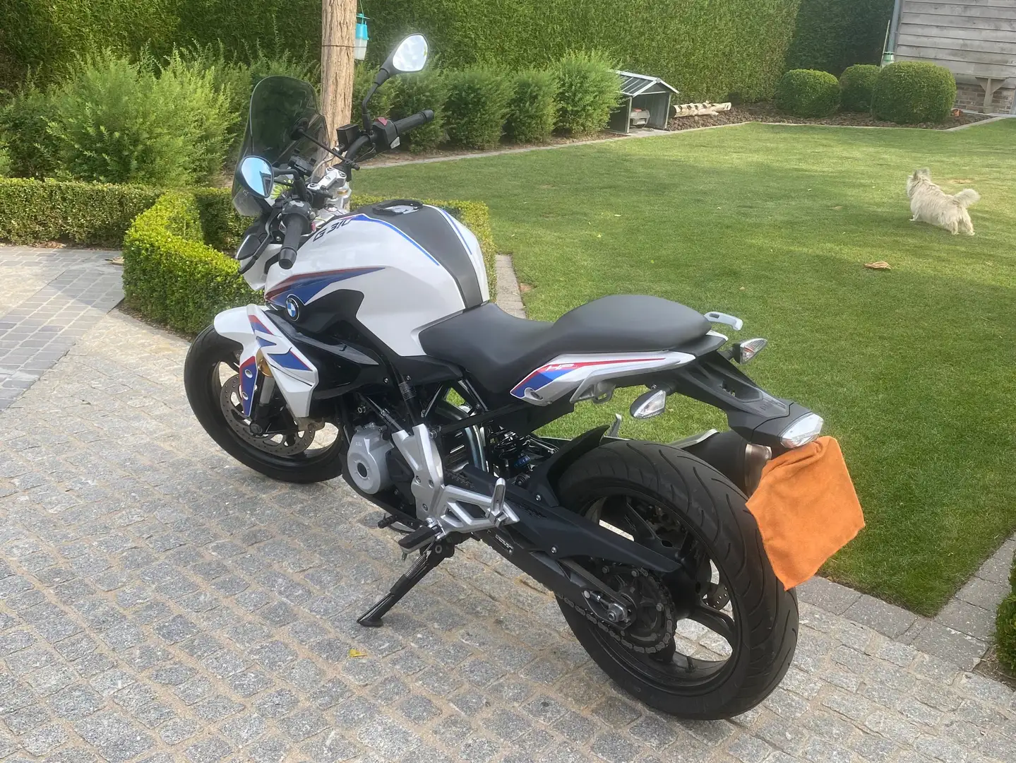 BMW G 310 R Blanc - 1
