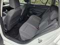 Volkswagen Golf Variant 1,5 TGI Life - thumbnail 13