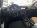 SEAT Leon 1.6 TDI CR 110cv DSG-7 Start/Stop Style Connect Pl Rot - thumbnail 28