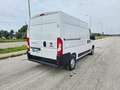 Fiat Ducato 33 2.3 MJT 140CV PM-TM Furgone Bianco - thumbnail 6