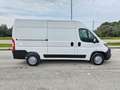 Fiat Ducato 33 2.3 MJT 140CV PM-TM Furgone Bianco - thumbnail 5