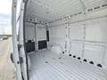 Fiat Ducato 33 2.3 MJT 140CV PM-TM Furgone Bianco - thumbnail 11