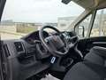 Fiat Ducato 33 2.3 MJT 140CV PM-TM Furgone Bianco - thumbnail 13