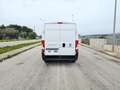 Fiat Ducato 33 2.3 MJT 140CV PM-TM Furgone Bianco - thumbnail 7