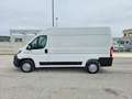 Fiat Ducato 33 2.3 MJT 140CV PM-TM Furgone Bianco - thumbnail 12