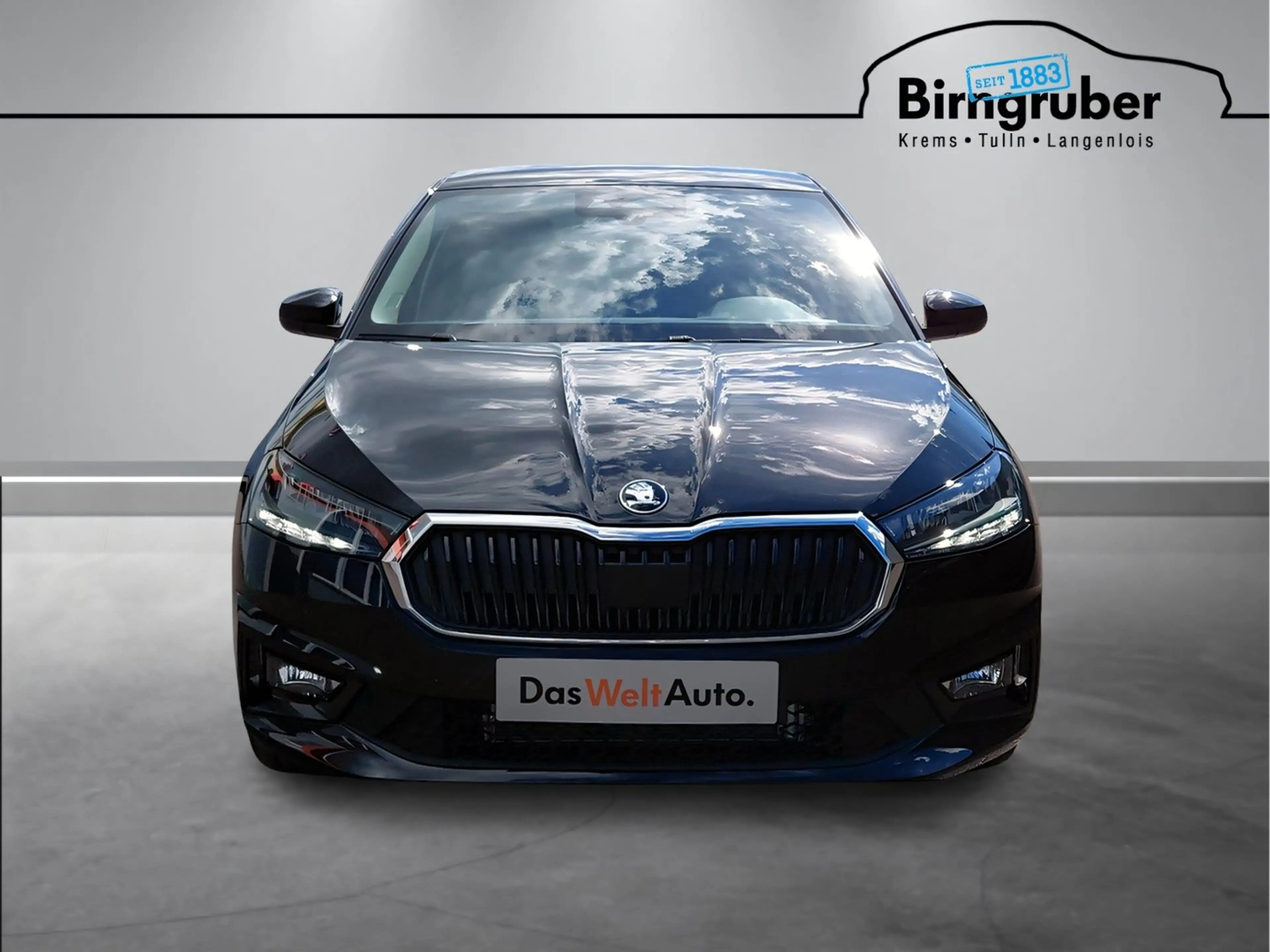 Skoda Fabia Selection TSI DSG — photo 3