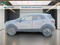 Ford EcoSport 1.0 ecoboost Active s&s 125cv Silber - thumbnail 3
