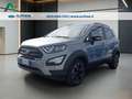 Ford EcoSport 1.0 ecoboost Active s&s 125cv Silber - thumbnail 2