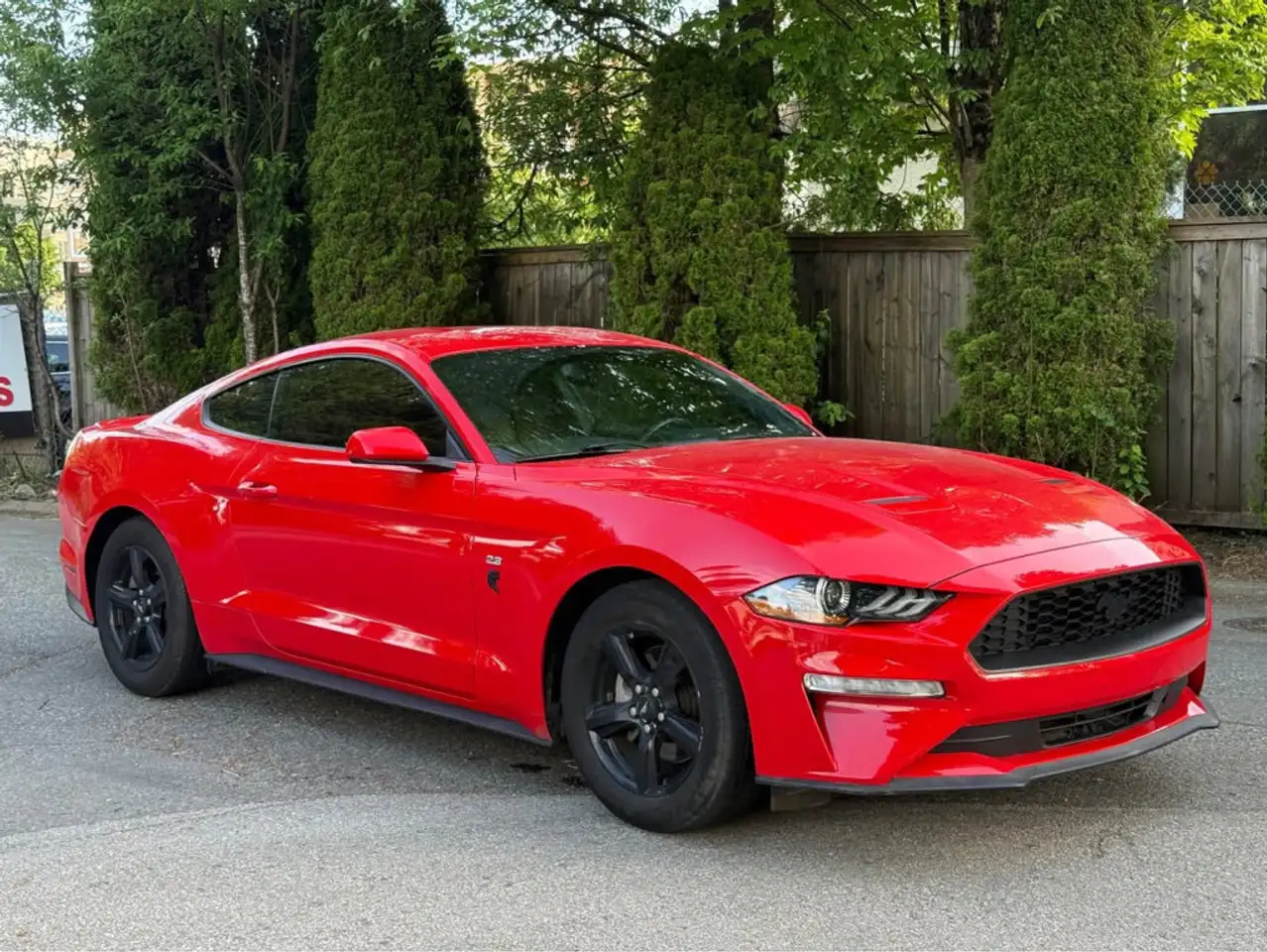 Ford Mustang photo Ford Mustang