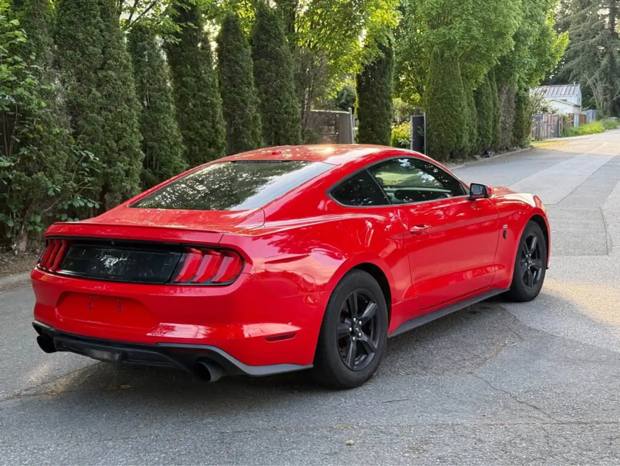 Ford Mustang photo Ford Mustang