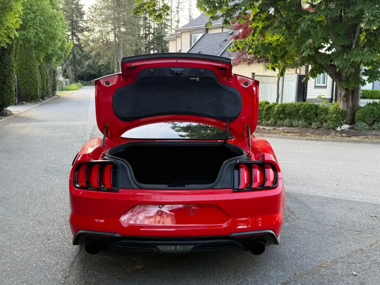 Ford Mustang photo Ford Mustang