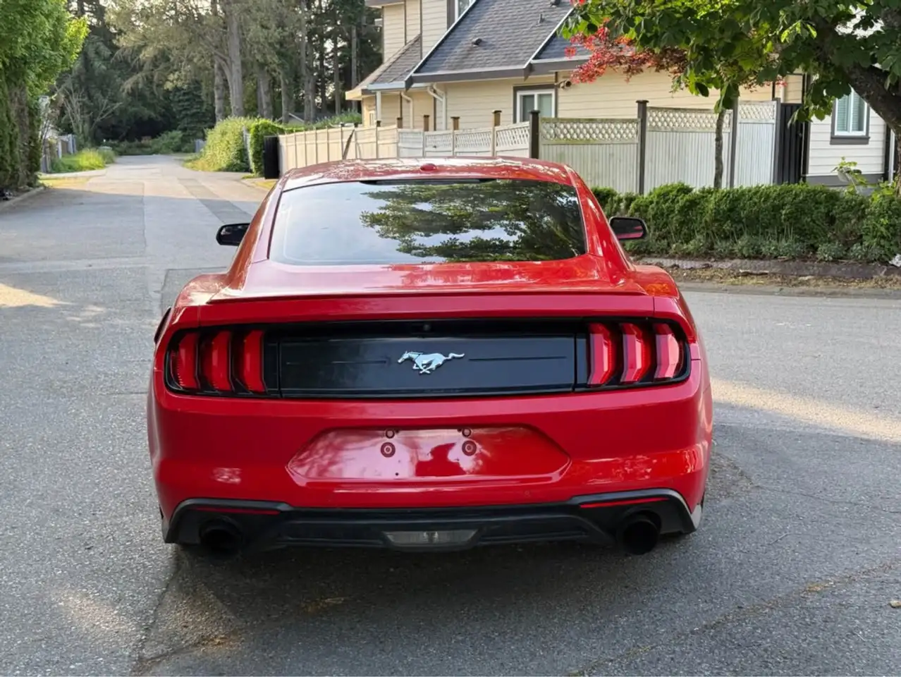 Ford Mustang photo Ford Mustang