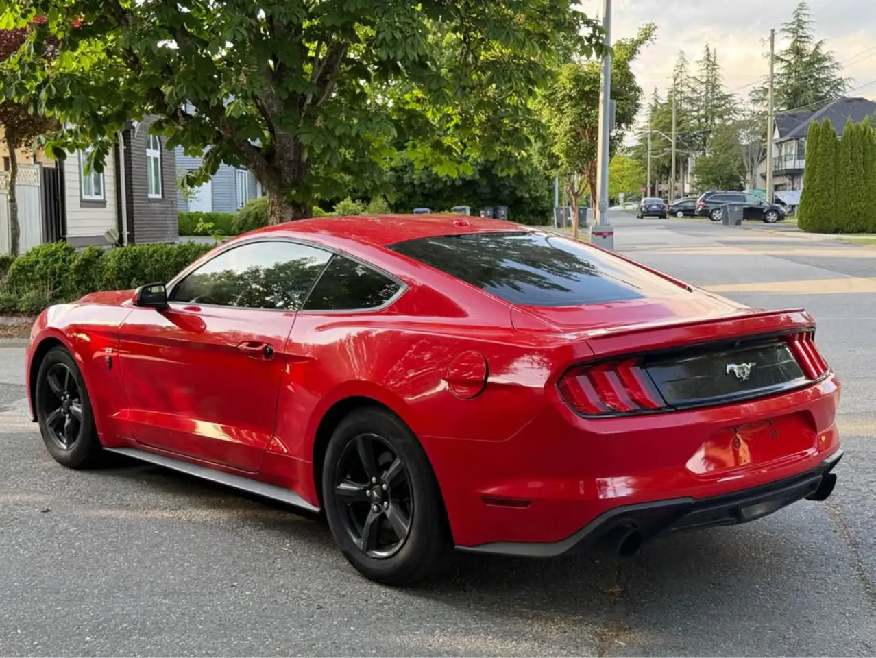 Ford Mustang photo Ford Mustang