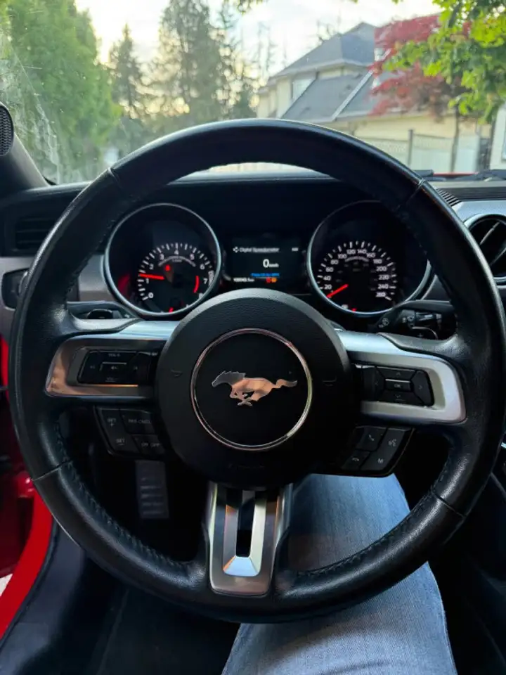 Ford Mustang photo Ford Mustang