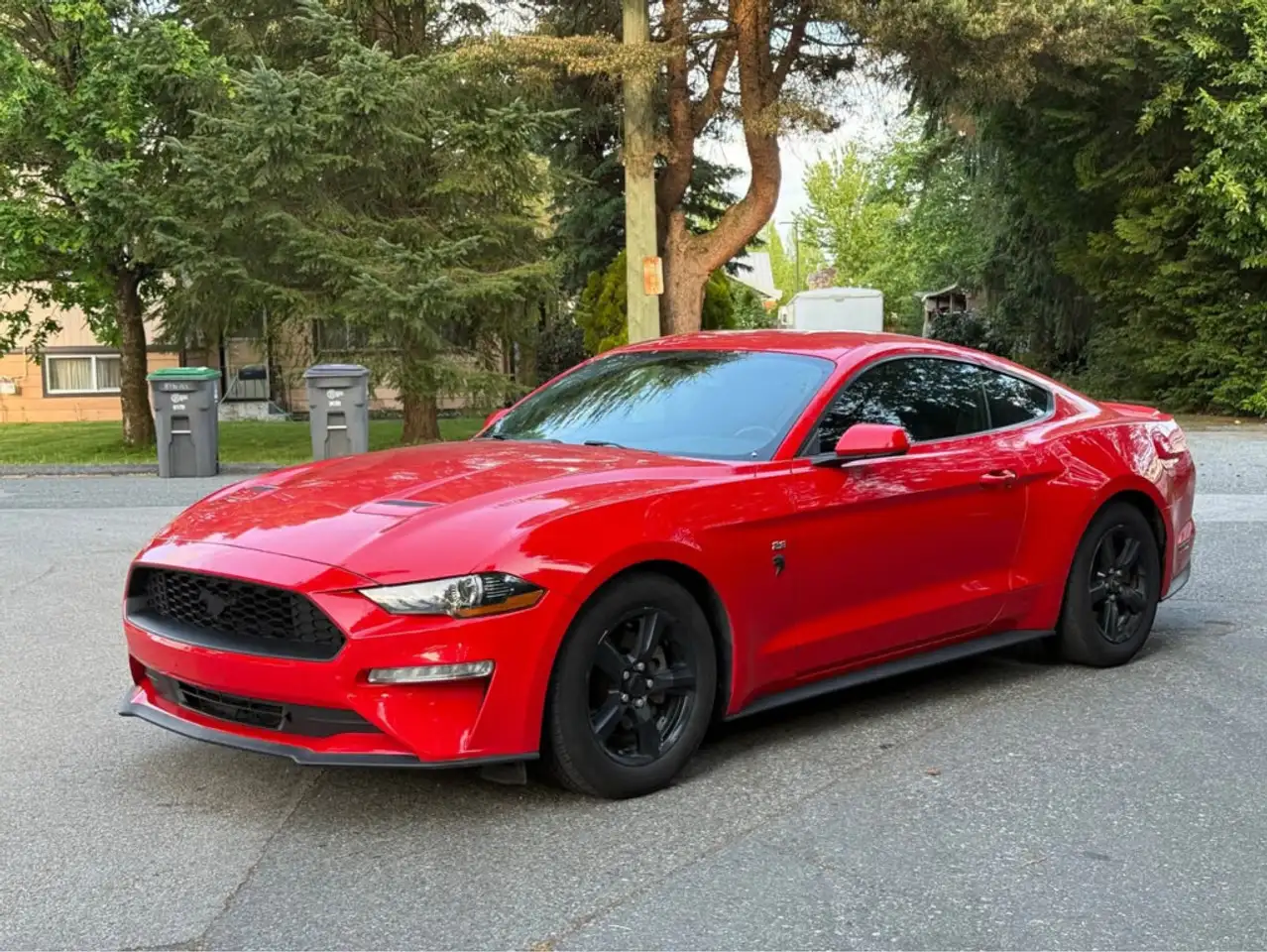 Ford Mustang photo Ford Mustang
