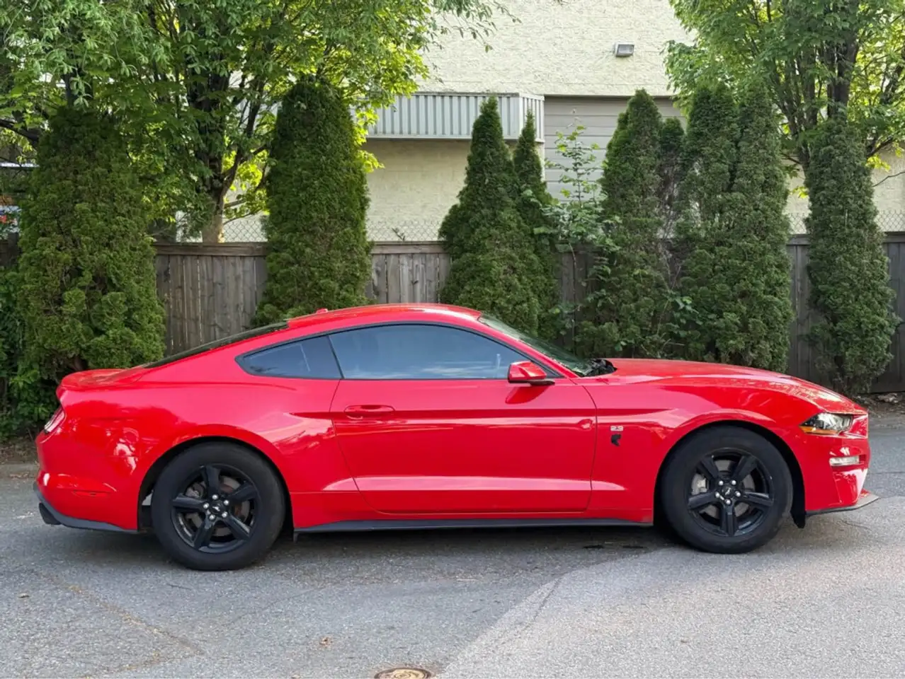 Ford Mustang photo Ford Mustang