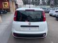 Fiat Panda Fiat Panda 1.2 Lounge Blanc - thumbnail 6