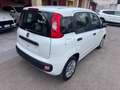 Fiat Panda Fiat Panda 1.2 Lounge Blanc - thumbnail 5
