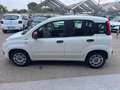 Fiat Panda Fiat Panda 1.2 Lounge Blanc - thumbnail 9