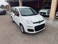 Fiat Panda Fiat Panda 1.2 Lounge Blanc - thumbnail 3