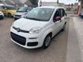 Fiat Panda Fiat Panda 1.2 Lounge Blanc - thumbnail 1