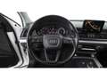 Audi Q5 35 TDI quattro Aut XENON SKY NAVI SITZHZG PDC Weiß - thumbnail 24