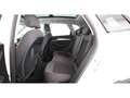 Audi Q5 35 TDI quattro Aut XENON SKY NAVI SITZHZG PDC Weiß - thumbnail 26