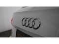 Audi Q5 35 TDI quattro Aut XENON SKY NAVI SITZHZG PDC Weiß - thumbnail 8