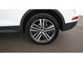 Audi Q5 35 TDI quattro Aut XENON SKY NAVI SITZHZG PDC Weiß - thumbnail 27