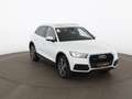 Audi Q5 35 TDI quattro Aut XENON SKY NAVI SITZHZG PDC Weiß - thumbnail 5