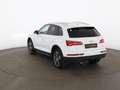 Audi Q5 35 TDI quattro Aut XENON SKY NAVI SITZHZG PDC Weiß - thumbnail 7