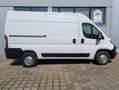Opel Movano C L2H2 3,5t Edition Kundendienst neu Weiß - thumbnail 18